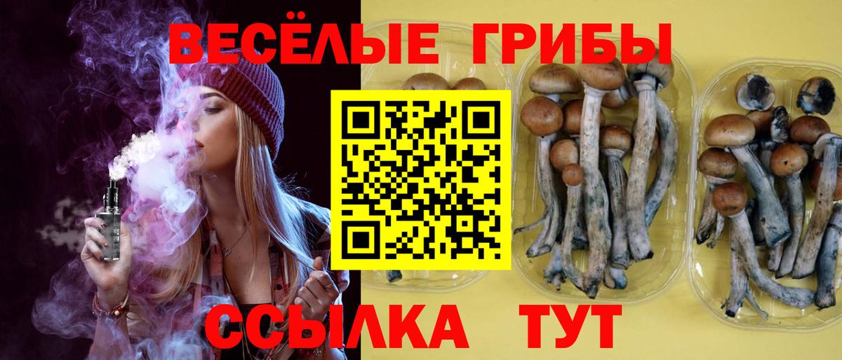 Галлюциногенные грибы ЛСД  Галлюциногенные грибы мицелий  Егорьевск  купить наркотики цена  Вход с VPN 